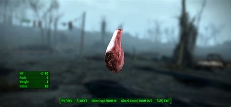 fallout 4 meat